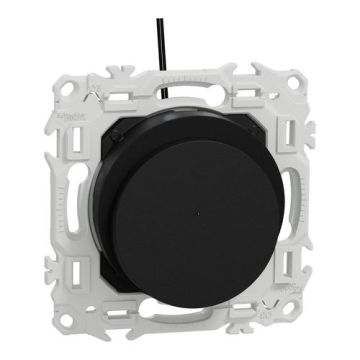 SCHNEIDER Odace Interrupteur à carte à voyant lumineux 10A noir onyx - S940283