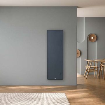 THERMOR Equateur 5 radiateur connecté inertie double technologie vertical ardoise 1000W - 428407