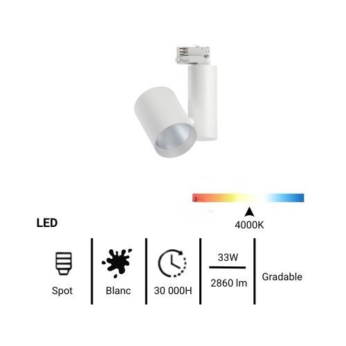 fiche technique spot sur rail LED Paulmann Prorail3 blanc