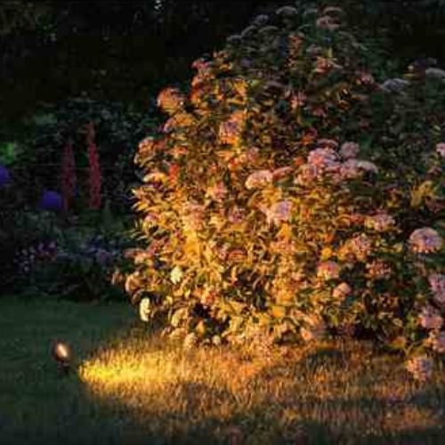 Kit de 3 spots LED extérieurs sur piquet orientable Paulmann Plug & Shine - photo ambiance extérieure