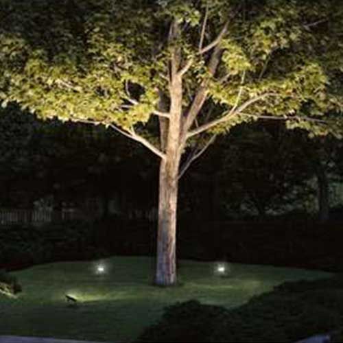 Projecteur extérieur sur piquet Paulmann idéal pour éclairer vos jardins