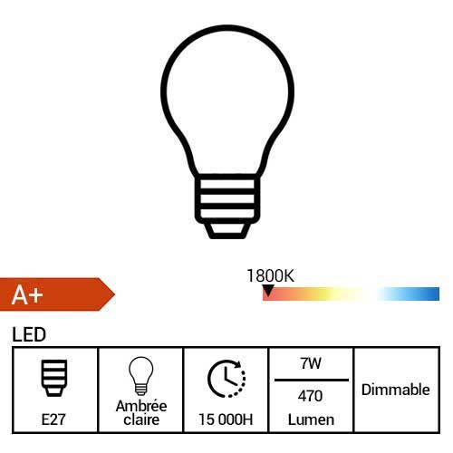 PHILIPS Vintage Ampoule LED filament dimmable E27 230V 6,5W(=40W) 470lm 2000K Giant or - fiche technique