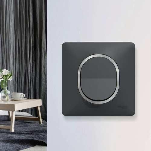 Plaque de finition Schneider Ovalis 1 poste anthracite avec bague effet argent chromé - montage complet avec interrupteur