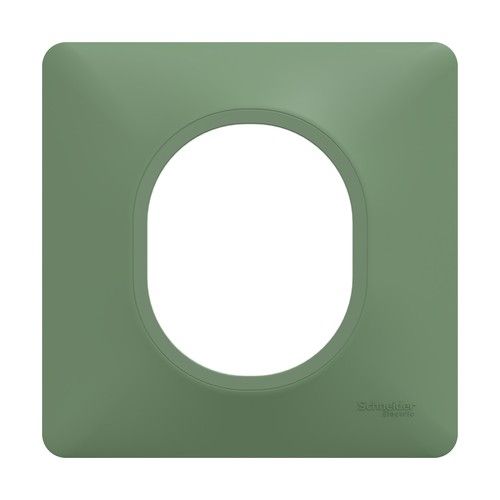 plaque de finition 1 poste Schneider Ovalis couleur vert forêt - vue de face
