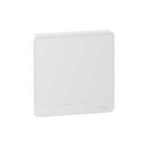 SCHNEIDER Resi9 Porte Styl blanche pour tableau électrique 1 rangée 13 modules - R9H13421