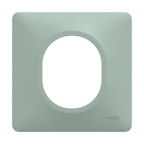 Plaque de finition 1 poste coloris sauge Schneider Ovalis - vue de face