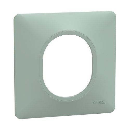 Plaque de finition 1 poste coloris sauge Schneider Ovalis
