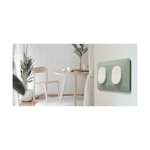 plaque de finition 2 postes schneider ovalis coloris sauge - photo ambiance