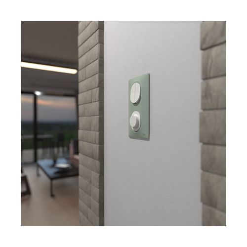 plaque de finition 2 postes vertical schneider ovalis coloris sauge - photo ambiance