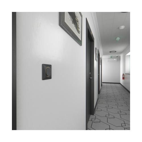 plaque de finition 1 poste schneider ovalis anthracite liseré laiton - photo ambiance couloir