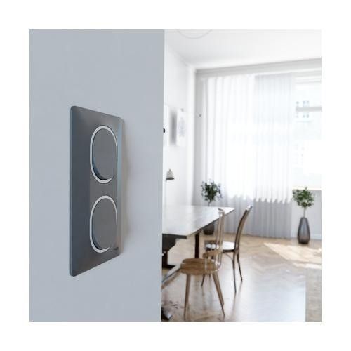 plaque de finition 2 postes vertical Schneider Ovalis coloris anthracite liseré argent - photo ambiance intérieur