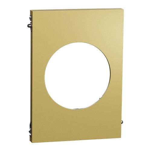 plaque de finition centrale Schneider Odace Architecte effet Laiton