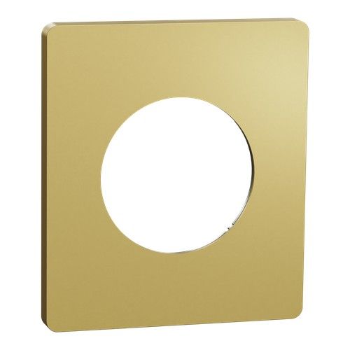 plaque de finition 1 poste Schneider Odace Architecte effet Laiton