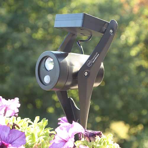 Spot LED Watt & Home à planter pour éclairer votre jardin