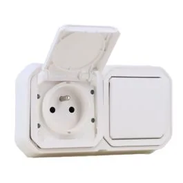LEGRAND Plexo Interrupteur va et vient et prise de courant 2P+T encastré complet étanche blanc IP55