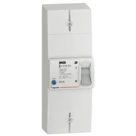 LEGRAND BACO Disjoncteur d'abonné monophasé 60A 500mA différentiel instantané - 401051