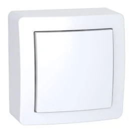 SCHNEIDER Alréa Obturateur complet saillie blanc - ALB62420P