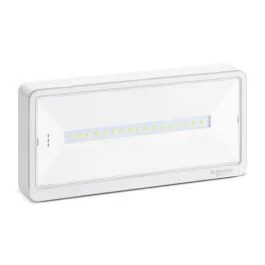 SCHNEIDER BAEH d'évacuation SATI 45lm IP42 Exiway light - OVA59210