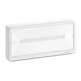 SCHNEIDER BAES d'ambiance SATI 650lm Exiway - OVA59310