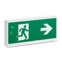 SCHNEIDER Bloc de secours Bi-fonction SATI LINK 8/45lm IP42 Exiway Light - OVA59430