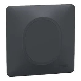 SCHNEIDER Ovalis Obturateur anthracite complet