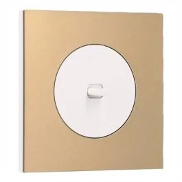 SCHNEIDER Odace Interrupteur va et vient/bouton poussoir à levier blanc craie et plaque simple laiton