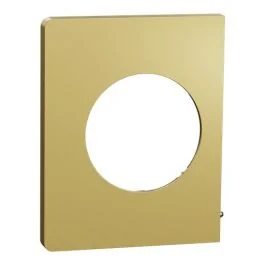 SCHNEIDER Odace Architecte Plaque simple latérale laiton - S932800