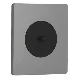 SCHNEIDER Odace Interrupteur va et vient/bouton poussoir à levier noir onyx et plaque simple Architecte titane