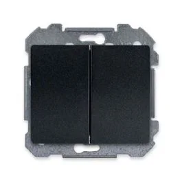 SIEMENS Delta Iris Double bouton poussoir anthracite