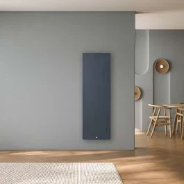 THERMOR Equateur 5 radiateur connecté inertie double technologie vertical ardoise 1000W - 428407
