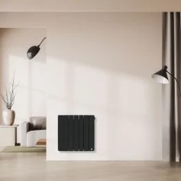 THERMOR Bilbao 4 Radiateur chaleur douce connecté horizontal 1000W ardoise - 493828