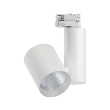 PAULMANN Spot LED sur rail PRORAIL3 ZEUZ dimmable 230V 33W 2860lm 4000K blanc - 91347