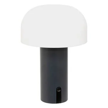 ATMOSPHERA Lampe à poser extérieur LED JANY rechargeable USB RGB hauteur 22 cm graphite - 205945