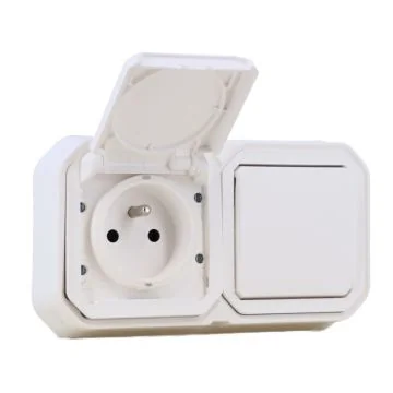 LEGRAND Plexo Interrupteur va et vient et prise de courant 2P+T encastré complet étanche blanc IP55