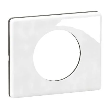 LEGRAND Céliane Plaque simple porcelaine Limoges - CP2301