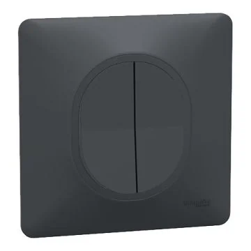 SCHNEIDER Ovalis Interrupteur va et vient + poussoir complet anthracite - S340285-F