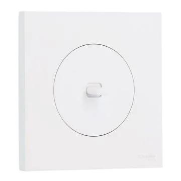 SCHNEIDER Odace Interrupteur va et vient/bouton poussoir à levier blanc craie complet