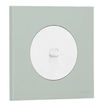 SCHNEIDER Odace Interrupteur va et vient/bouton poussoir à levier blanc craie et plaque simple vert jade