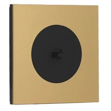 SCHNEIDER Odace Interrupteur va et vient/bouton poussoir à levier noir onyx et plaque simple laiton