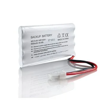 SOMFY Batterie de secours pour motorisation portail et porte de garage - 2400720