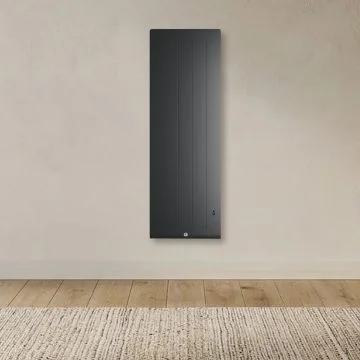 THERMOR Kenya 5 Radiateur connecté à inertie fonte vertical ardoise 1500W - 414748