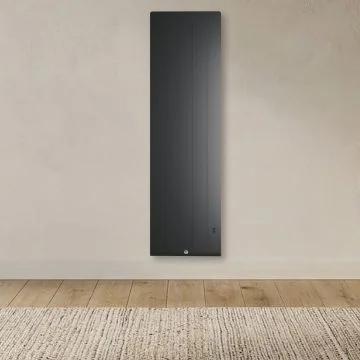 THERMOR Kenya 5 Radiateur connecté à inertie fonte vertical ardoise 2000W - 414749