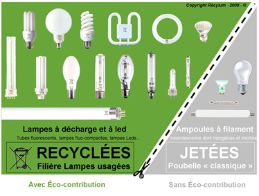 recyclage des ampoules